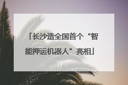 长沙造全国首个“智能押运机器人”亮相