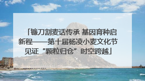 镰刀割麦话传承 基因育种启新程——第十届杨凌小麦文化节见证“颗粒归仓”时空跨越