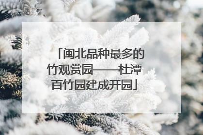 闽北品种最多的竹观赏园——杜潭百竹园建成开园