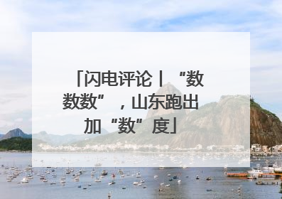 闪电评论丨“数数数”，山东跑出加“数”度