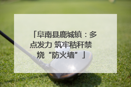 阜南县鹿城镇：多点发力 筑牢秸秆禁烧“防火墙”
