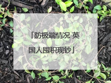 防极端情况 英国人囤积现钞