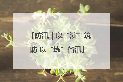 防汛｜以“演”筑防 以“练”备汛