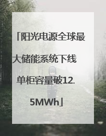 阳光电源全球最大储能系统下线 单柜容量破12.5MWh