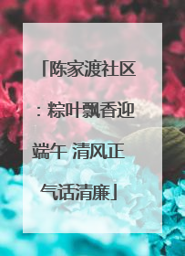 陈家渡社区：粽叶飘香迎端午 清风正气话清廉