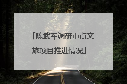 陈武军调研重点文旅项目推进情况