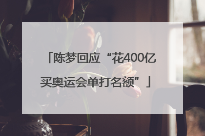 陈梦回应“花400亿买奥运会单打名额”