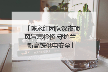 陈永红团队深夜顶风冒寒检修 守护兰新高铁供电安全