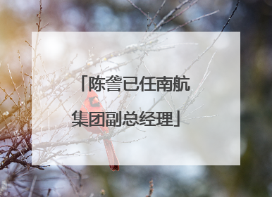 陈詟已任南航集团副总经理