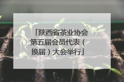 陕西省茶业协会第五届会员代表（换届）大会举行