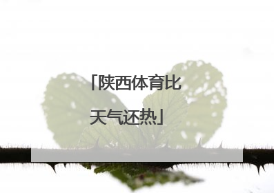 陕西体育比天气还热