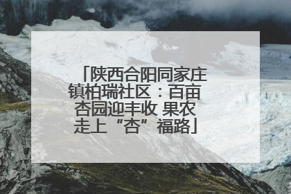 陕西合阳同家庄镇柏瑞社区：百亩杏园迎丰收 果农走上“杏”福路