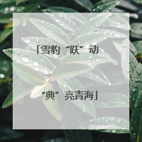 雪豹“跃”动 “典”亮青海