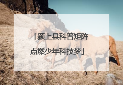 颍上县科普矩阵点燃少年科技梦