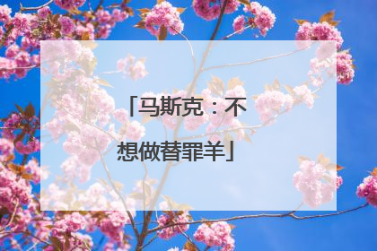 马斯克：不想做替罪羊