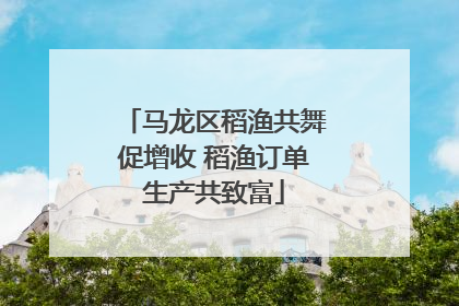 马龙区稻渔共舞促增收 稻渔订单生产共致富