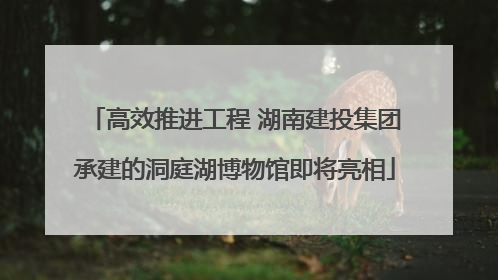 高效推进工程 湖南建投集团承建的洞庭湖博物馆即将亮相