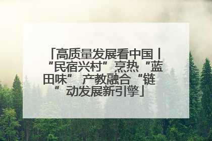 高质量发展看中国丨“民宿兴村”烹热“蓝田味” 产教融合“链”动发展新引擎