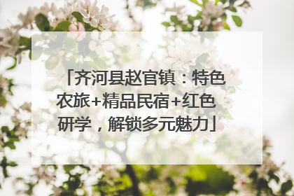 齐河县赵官镇：特色农旅+精品民宿+红色研学，解锁多元魅力