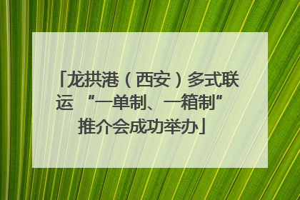 龙拱港（西安）多式联运 “一单制、一箱制” 推介会成功举办