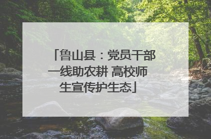 鲁山县：党员干部一线助农耕 高校师生宣传护生态