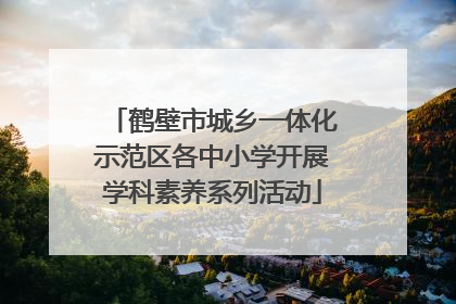 鹤壁市城乡一体化示范区各中小学开展学科素养系列活动