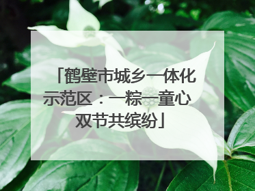 鹤壁市城乡一体化示范区：一粽一童心 双节共缤纷