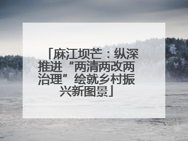 麻江坝芒：纵深推进“两清两改两治理”绘就乡村振兴新图景