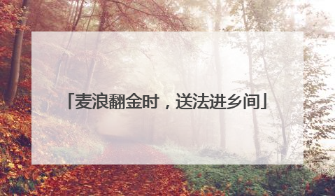 麦浪翻金时，送法进乡间