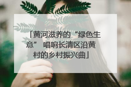 黄河滋养的“绿色生意” 唱响长清区沿黄村的乡村振兴曲