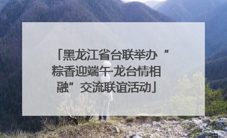 黑龙江省台联举办“粽香迎端午·龙台情相融”交流联谊活动