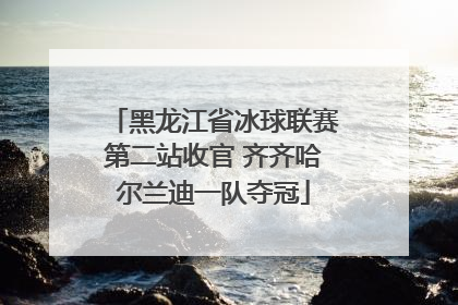 黑龙江省冰球联赛第二站收官 齐齐哈尔兰迪一队夺冠