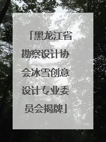 黑龙江省勘察设计协会冰雪创意设计专业委员会揭牌