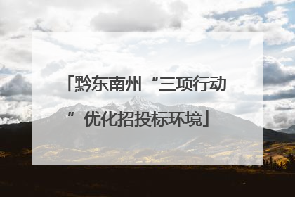 黔东南州“三项行动”优化招投标环境