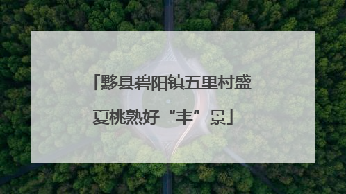 黟县碧阳镇五里村盛夏桃熟好“丰”景