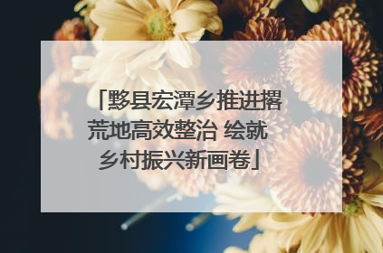 黟县宏潭乡推进撂荒地高效整治 绘就乡村振兴新画卷