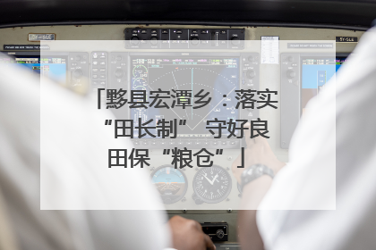 黟县宏潭乡：落实“田长制” 守好良田保“粮仓”