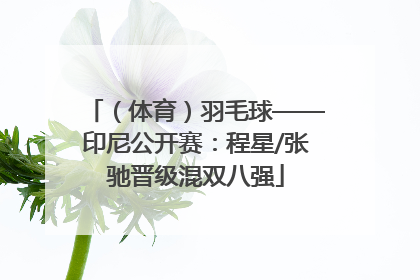 （体育）羽毛球——印尼公开赛：程星/张驰晋级混双八强