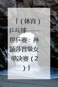 （体育）乒乓球——世乒赛：孙颖莎晋级女单决赛（2）