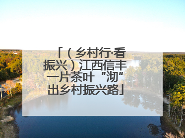 （乡村行·看振兴）江西信丰一片茶叶“沏”出乡村振兴路