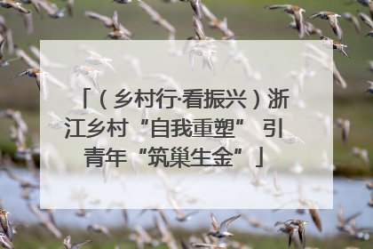 （乡村行·看振兴）浙江乡村“自我重塑” 引青年“筑巢生金”