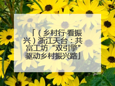 （乡村行·看振兴）浙江天台：共富工坊“双引擎”驱动乡村振兴路
