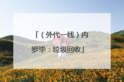 （外代一线）内罗毕：垃圾回收