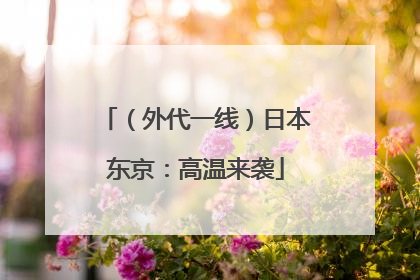 （外代一线）日本东京：高温来袭