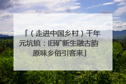 （走进中国乡村）千年元坑镇：旧矿新生融古韵 原味乡俗引客来