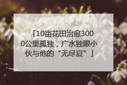 10亩花田治愈3000公里孤独，广水独眼小伙与他的“无尽夏”