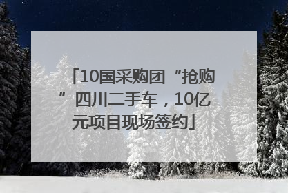 10国采购团“抢购”四川二手车，10亿元项目现场签约
