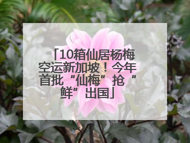 10箱仙居杨梅空运新加坡！今年首批“仙梅”抢“鲜”出国