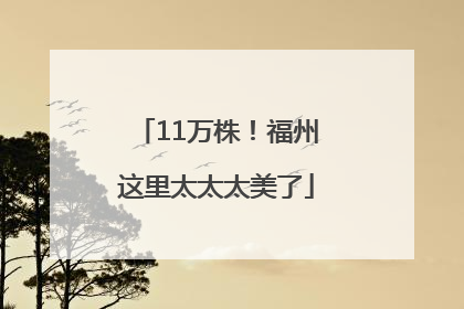 11万株！福州这里太太太美了