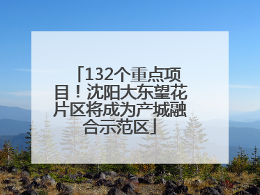 132个重点项目！沈阳大东望花片区将成为产城融合示范区
